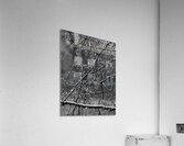 Monochrome Tear Drops Acrylic Print