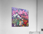 PHLOX GAMBIT Acrylic Print