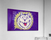1957 Washington Husky Art  Acrylic Print