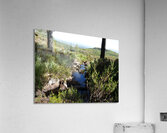 Scottish Highlands Peaceful Vibes                                                                                                                      Acrylic Print