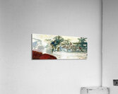 1925 North Carolina vs. South Carolina Football Art  Acrylic Print