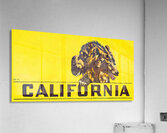 1940 California Golden Bear Art  Acrylic Print