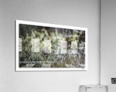 Spirit of the Pond  Acrylic Print