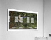 Sipping Mallard Drake  Acrylic Print