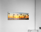 Kalifornikation  Acrylic Print