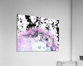 Abstract Pink and Black Dandelion Acrylic Print