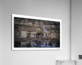 Greater Yellow Leg 1 Acrylic Print