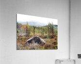 A Magical Place in the Scottish Highlands                                                                                                                      Acrylic Print