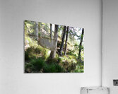   The Magical Place of the Fae in the Scottish Highlands                                                                                                                    Acrylic Print
