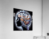 Braineeez 667 Acrylic Print