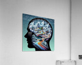 Braineeez 668 Acrylic Print