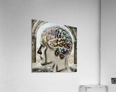 Braineeez 4011 Acrylic Print