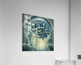 Braineeez 4009 Acrylic Print