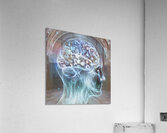 Braineeez 4006 Acrylic Print