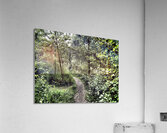 The Path through the Scottish Highlands                                                                                                                      Acrylic Print