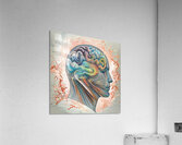 Braineeez 2076 Acrylic Print