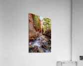 Kanarra Spring Creek Slot Canyon Acrylic Print