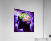 Braineeez 3 Acrylic Print