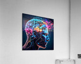 Braineeez 416 Acrylic Print