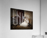 Barnyard Friends 2 Acrylic Print