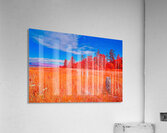 Old Fence Line Acrylic Print