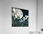 Moon shining over Calla Lily flowers  Cyberpunk style Acrylic Print