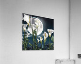 Moon shining over Calla Lily flowers  Cyberpunk style Acrylic Print