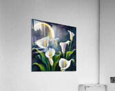 Moon shining over Calla Lily flowers  Impressionism style Acrylic Print