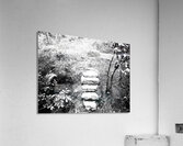 Take a Step Up in Monochrome Acrylic Print