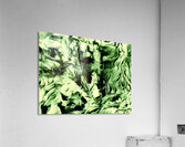 Old Bodach of Albany Acrylic Print