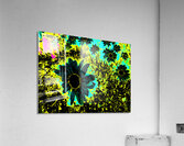 Abstract Daises on an Abstract Background  Acrylic Print