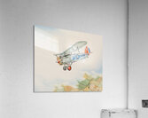 Single Bi Plane 14 14x11 34 Acrylic Print