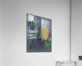 Single sunflower soft pastels painting Acrylic Print