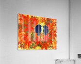 Love is in the Maple tree Acrylic Print