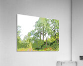 Abstract Forest in the Scottish Highlands                                                                                                                       Acrylic Print