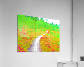  Surreal Nature Path through the Scottish Highlands                                                                                                                     Acrylic Print