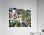  Natures Summer Path through the Scottish Highlands                                                                                                                     Acrylic Print
