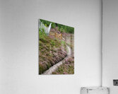  The Heather Honey Trail through the Scottish Highlands                                                                                                                     Acrylic Print