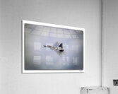 Sky Superiority 2 Acrylic Print