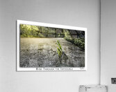 Rise through the Impossible Acrylic Print