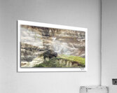 Badlands Buffalo Acrylic Print
