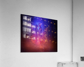 Butterfly Acrylic Print