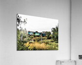  Scottish Highlands High Speed Train on the Trail                                                                                                                     Acrylic Print