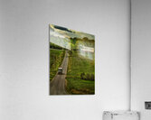 Summer on Westborough Road Acrylic Print