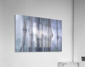 Cypress Tree Reflections Acrylic Print