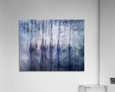 Ethereal Reflections of Winter Trees Acrylic Print