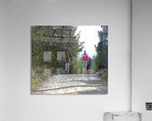  Walking the Forest Trails in the Scottish Highlands                                                                                                                     Acrylic Print