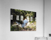 Scottish Highlands Tranquil Forest Stream                                                                                                                      Acrylic Print