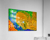 AQUATIC WHIRLPOOL  Acrylic Print