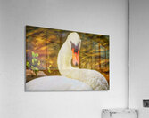 ELEGANT BIRD Acrylic Print